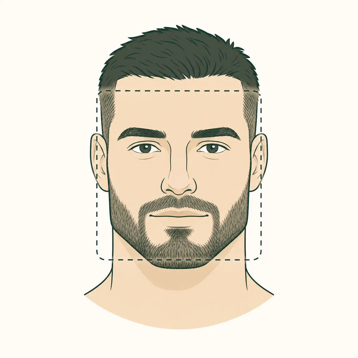 Vierkant gezicht met een korte baard die de kaaklijn volgt